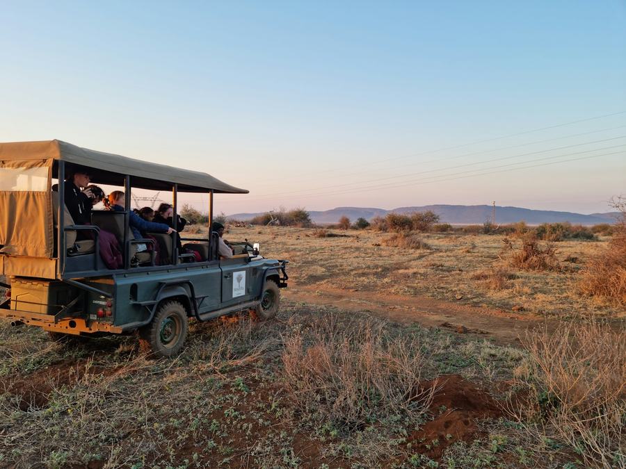 Open safari vehicle at golden hour